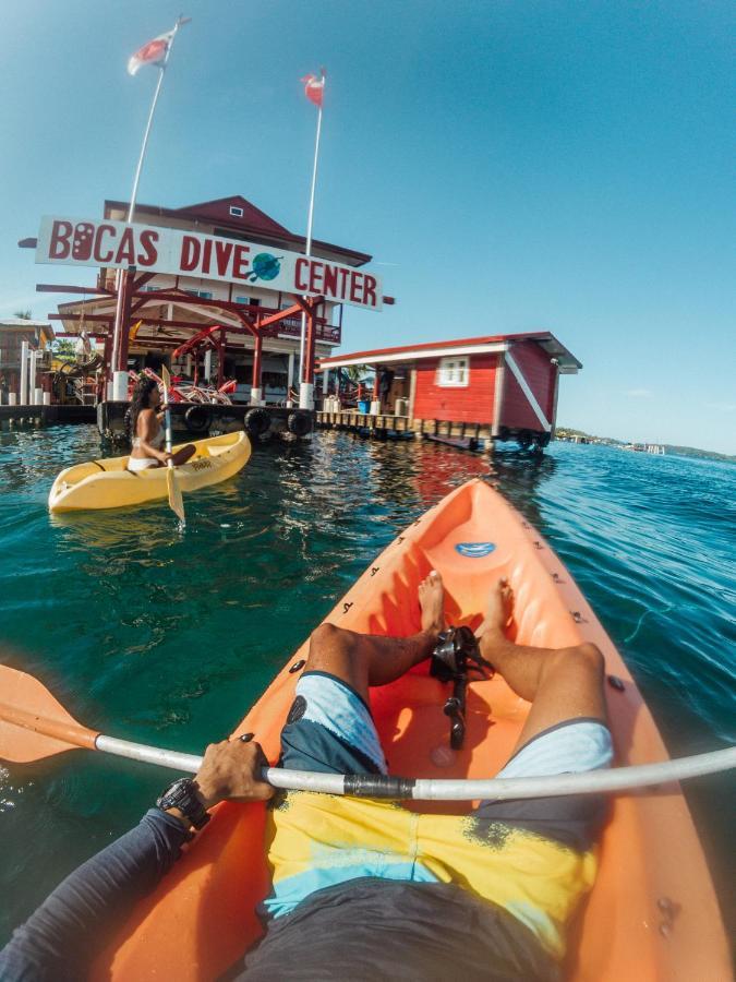 Divers Paradise Boutique Hotel โบกัสทาวน์ ภายนอก รูปภาพ