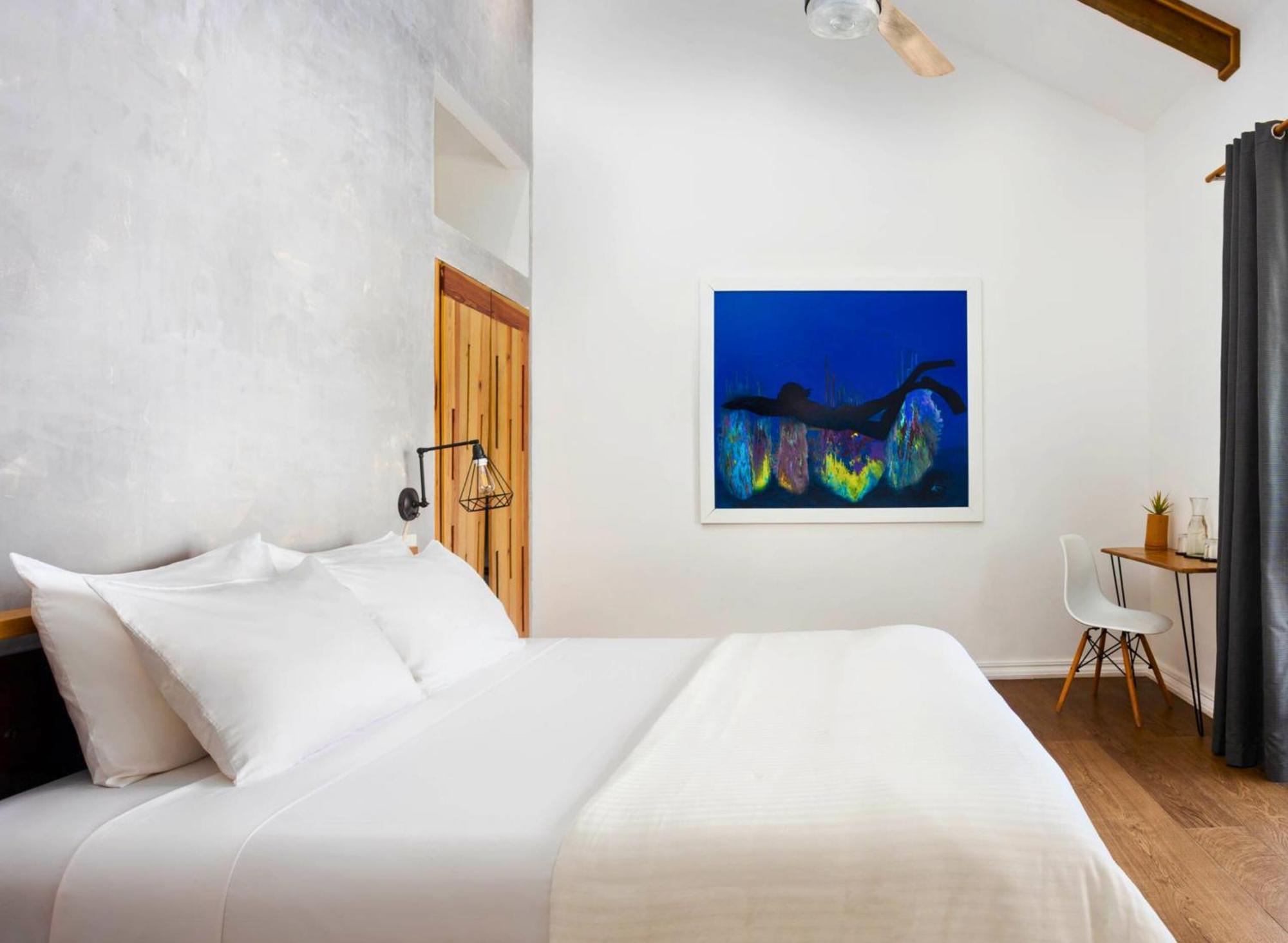 Divers Paradise Boutique Hotel โบกัสทาวน์ ห้อง รูปภาพ